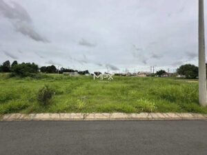 Terreno à venda em Saltinho, Nova Saltinho, com 175 m²