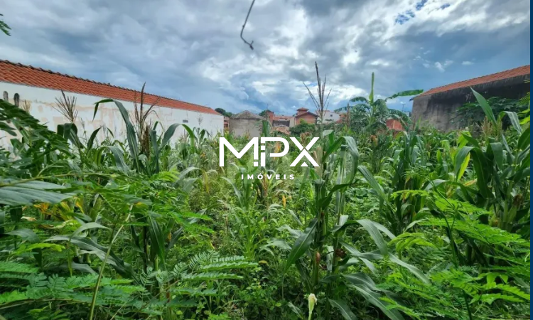 Terreno à venda no Residencial Paineiras em Piracicaba.