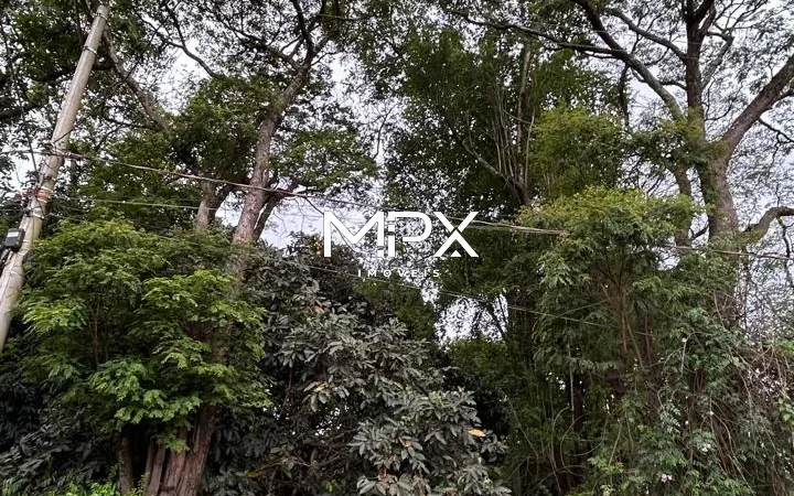 Terreno à venda no bairro Conceição em Piracicaba — 2.000 m²