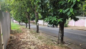 Terreno à venda no bairro Chácara Nazaré em Piracicaba