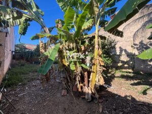 Terreno à venda em Piracicaba, Jardim São Jorge, com 324 m²