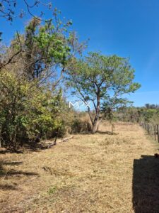 Terreno à venda no bairro Floresta Escura em São Pedro.