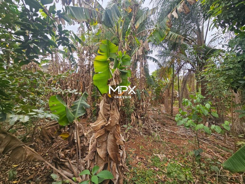 Terreno à venda no bairro Nossa Senhora Aparecida em Piracicaba