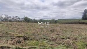 Terreno à venda no bairro Vertentes das Águas em São Pedro