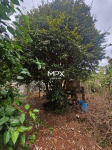 Terreno à venda em Piracicaba, Vila Nossa Senhora Aparecida, com 250 m²