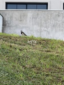 Terreno à venda no Condomínio Residencial Villa D’Áquila em Piracicaba