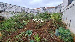 Terreno à venda e para alugar no bairro Santa Rita em Piracicaba