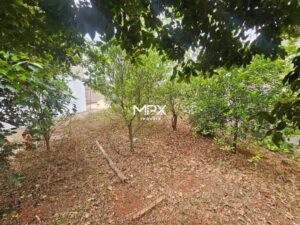 Terreno à venda em Piracicaba, Vila Nossa Senhora Aparecida, com 250 m²