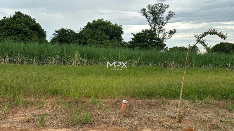 Terreno à venda em Saltinho, Terra Nova, com 176 m²