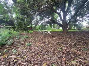 Terreno à venda no bairro Conceição em Piracicaba — 2.000 m²