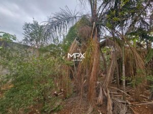 Terreno à venda em Piracicaba, Vila Nossa Senhora Aparecida, com 250 m²