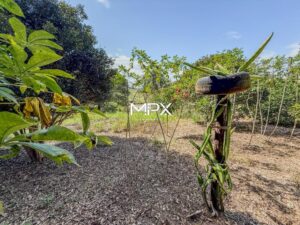 Terreno à venda no bairro Glebas Califórnia em Piracicaba.