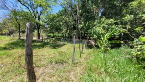 Sítio à venda em Santa Isabel, Piracicaba