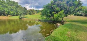 Sítio à venda em Agua Bonita, Piracicaba