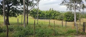Sítio à venda em Anhumas, Piracicaba