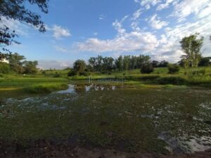Sítio à venda em Agua Bonita, Piracicaba