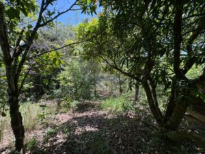 Sítio à venda em Santa Isabel, Piracicaba