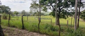 Sítio à venda em Anhumas, Piracicaba