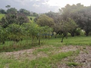 Sítio à venda em Agua Bonita, Piracicaba