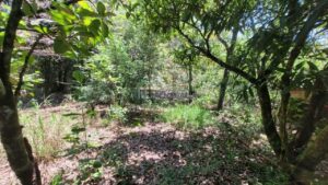 Sítio à venda em Santa Isabel, Piracicaba