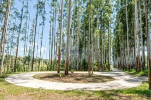Terreno à venda em Itaí, Itaí — Terras de Santa Cristina III