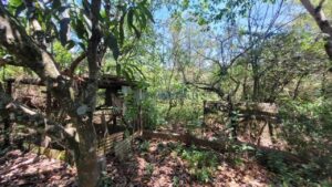 Sítio à venda em Santa Isabel, Piracicaba