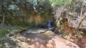 Sítio à venda em Santa Isabel, Piracicaba