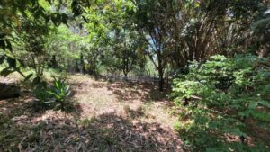 Sítio à venda em Santa Isabel, Piracicaba