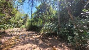 Sítio à venda em Santa Isabel, Piracicaba