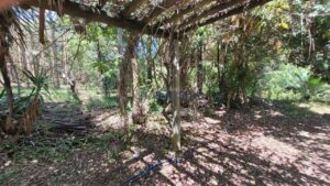Sítio à venda em Santa Isabel, Piracicaba